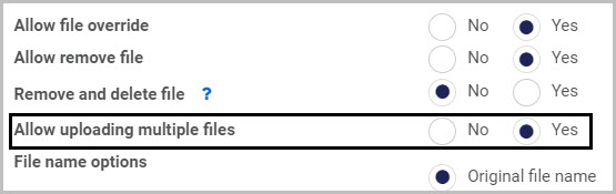 Multiple files in a file field