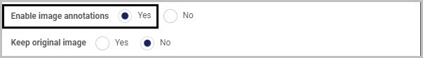 Enable image annotations Keep original image sub-option