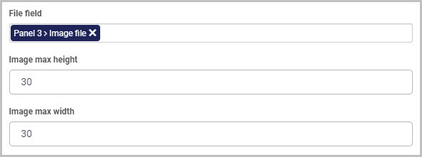 Image source as File field and max height and max width inserted