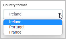 Euro format options